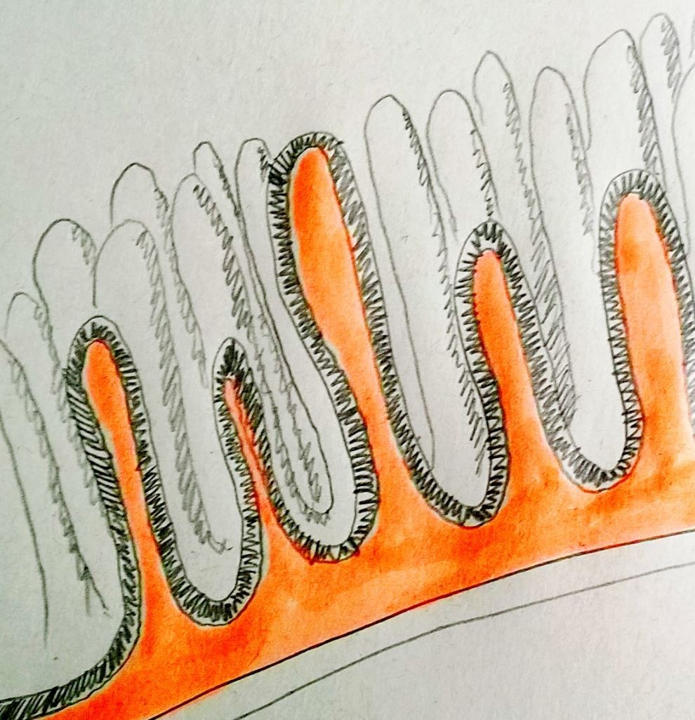 Winterfutterung Und Ihre Moglichen Fehlerquellen Natur Und Jagdschule Edelweiss